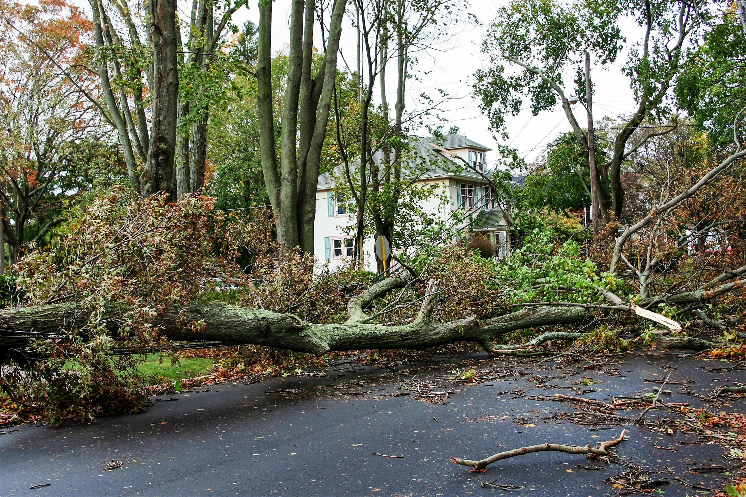 A Professional Guide to Strengthening Your Home Against Storms by KTM Exteriors